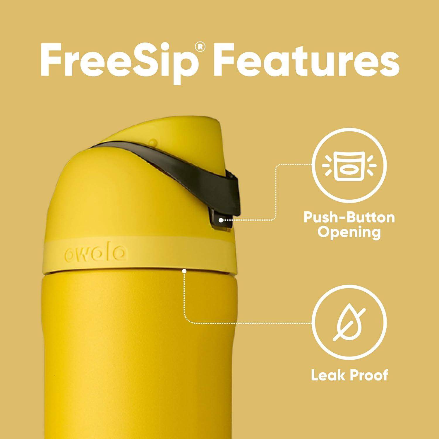 imageOwala Harry Potter FreeSip Insulated Stainless Steel Water Bottle with Straw BPAFree Sports Water Bottle Great for Travel 24 oz HufflepuffHufflepuff
