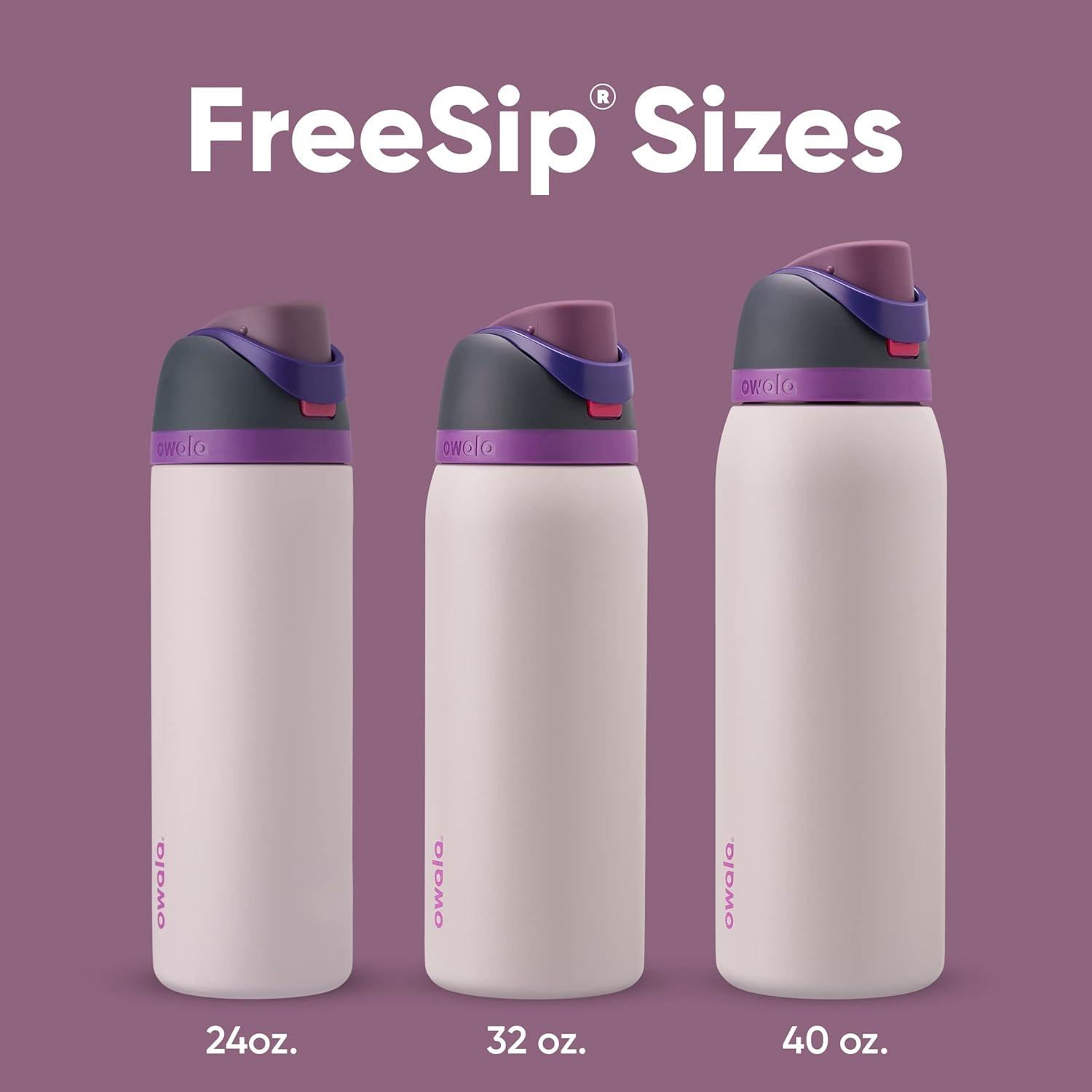 imageOwala Kids FreeSip Insulated Stainless Steel Water Bottle with Straw for Sports Travel and School BPAFree Sports Water Bottle 16 oz Mint ChocolateDreamy Field