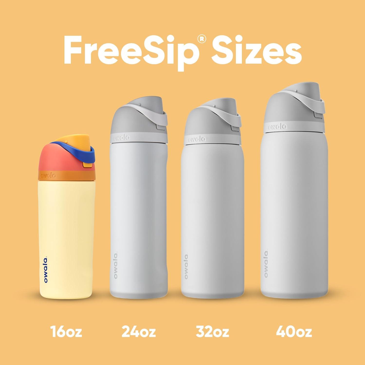 imageOwala Kids FreeSip Insulated Stainless Steel Water Bottle with Straw for Sports Travel and School BPAFree Sports Water Bottle 16 oz Mint ChocolateMisty Horizons