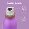 imageOwala FreeSip Twist Insulated Stainless Steel Water Bottle with Straw for Sports and Travel BPAFree 18oz MintWhite Iced BreezeCalifornia Grapevine