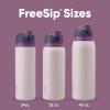 imageOwala Kids FreeSip Insulated Stainless Steel Water Bottle with Straw for Sports Travel and School BPAFree Sports Water Bottle 16 oz Mint ChocolateDreamy Field